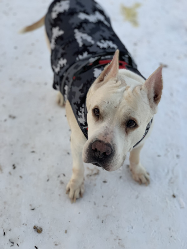 798290A9-EB6D-43AF-A9E4-6D5CCC3D2524