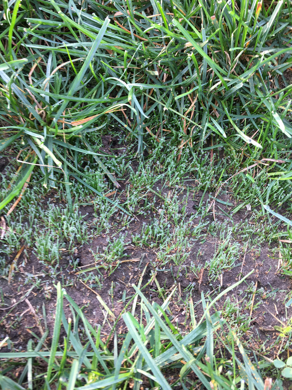 5DA0A32A-5086-4694-B132-9987730FAE0E