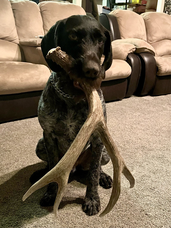 FD3B9972-EC26-42A9-AA5F-2F9A7B0CA046