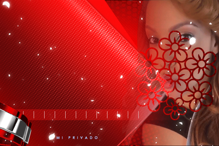 Modelo 6