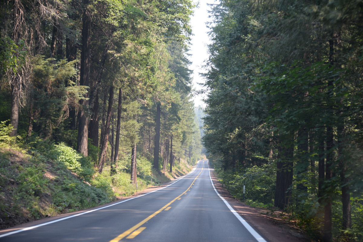 Árboles gigantes, fuegos y volcanes extintos - Oregon y California norte (2018) - Blogs de USA - Primeros días en el norte de California (2)