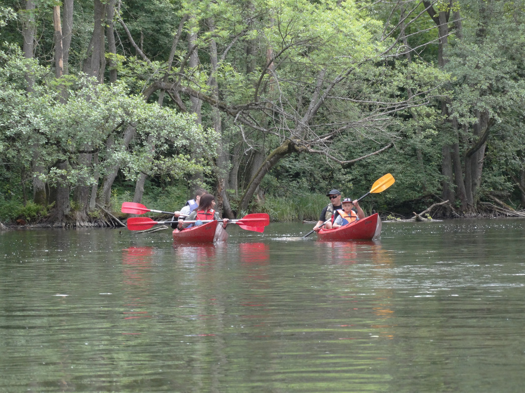 12 - DSC03928 (Czesio1)