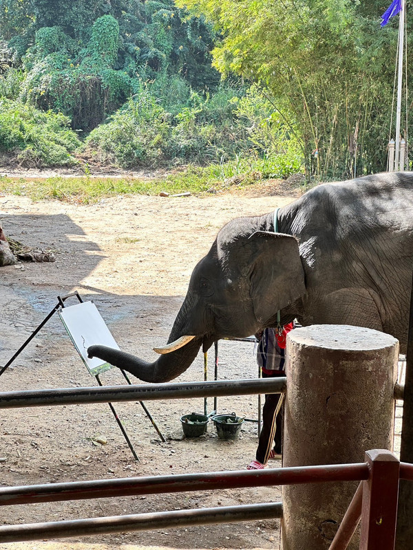 LINE_ALBUM_清邁動物園_231210_52