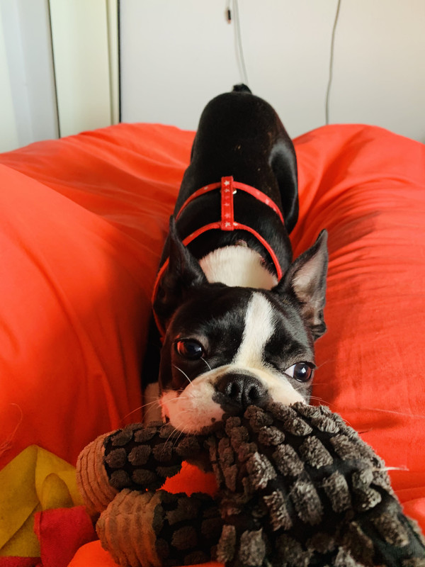 0E40BBAC-641E-4D95-BAA2-06B2D4CDF28E