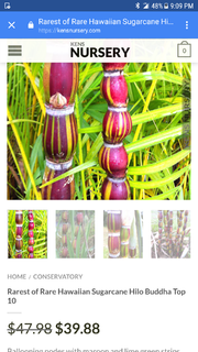 Screenshot_20170613-210945