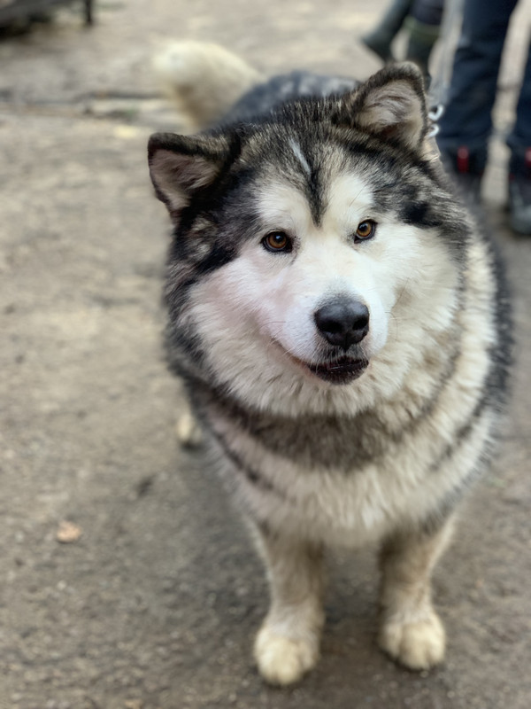 523D2350-3F95-4B49-8B74-F53B24136F37