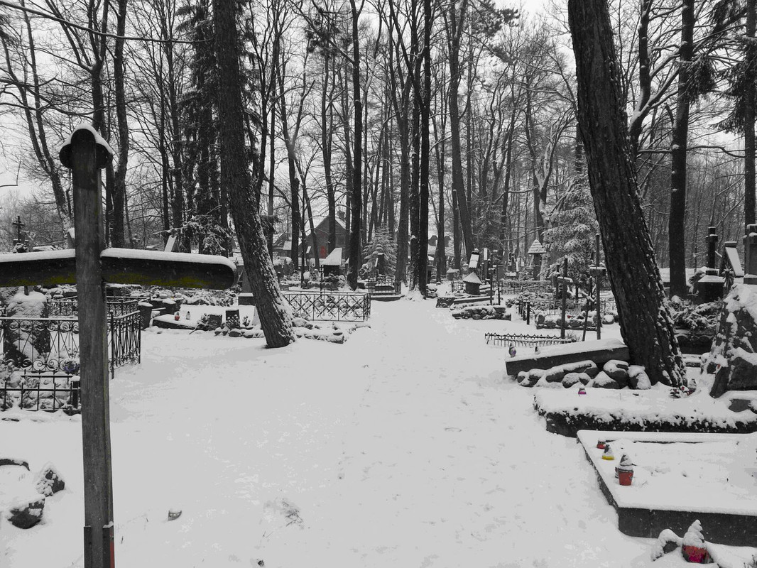 030 - Milczący Wilk 01