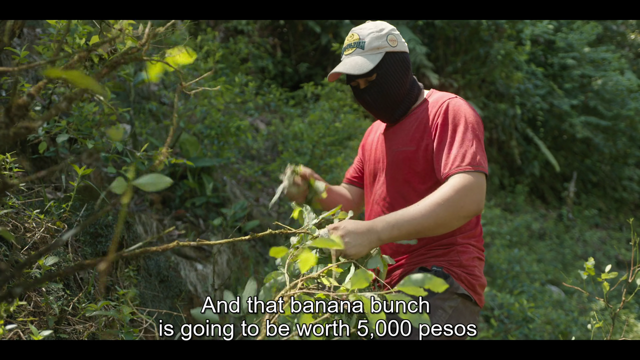 vlcsnap-2020-08-18-16h47m42s573