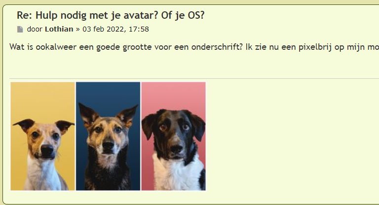 Afbeelding