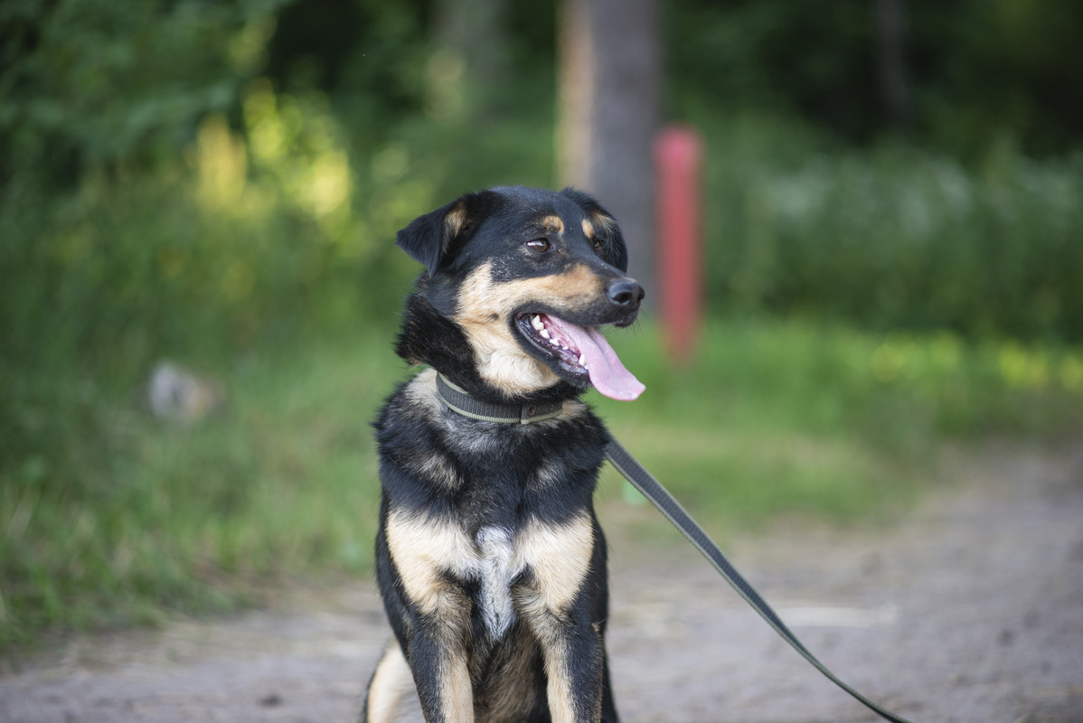 610_1205_гомель