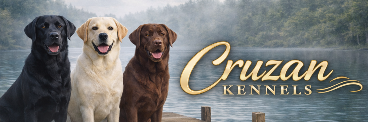 THIS IS YOUR BIG BANNER! DO NOT REMOVE SIZING