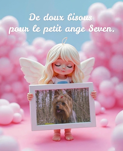 pixiz 02 12 2025 02 39 11