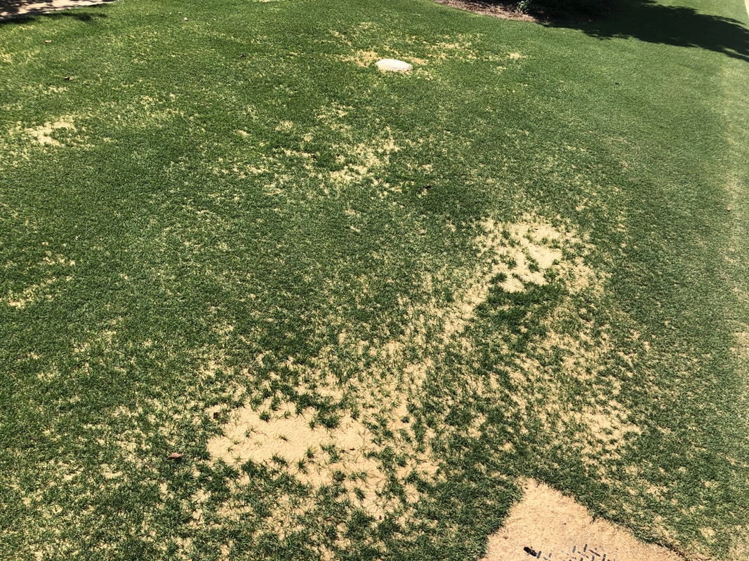 2FFA35E8-51B1-48FB-BBF2-816A8ECCF393