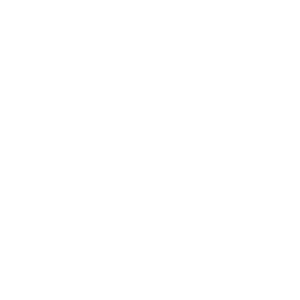 X Icon