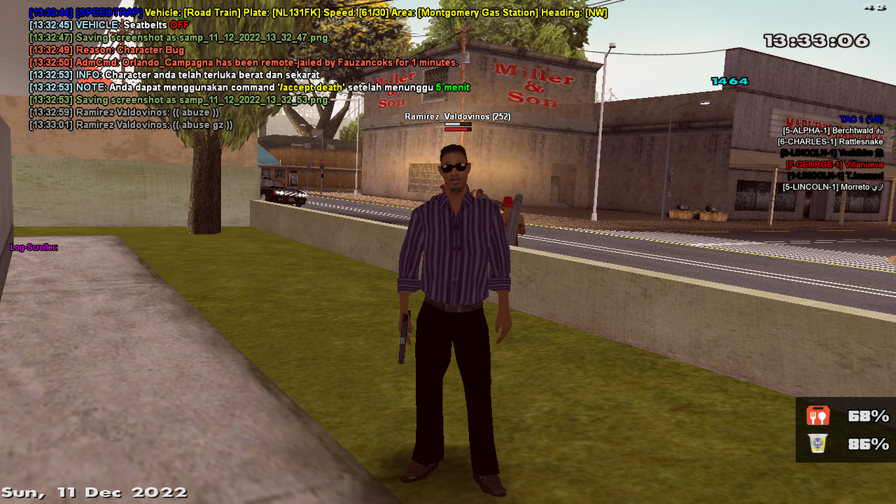 samp-11-12-2022-13-33-03.png