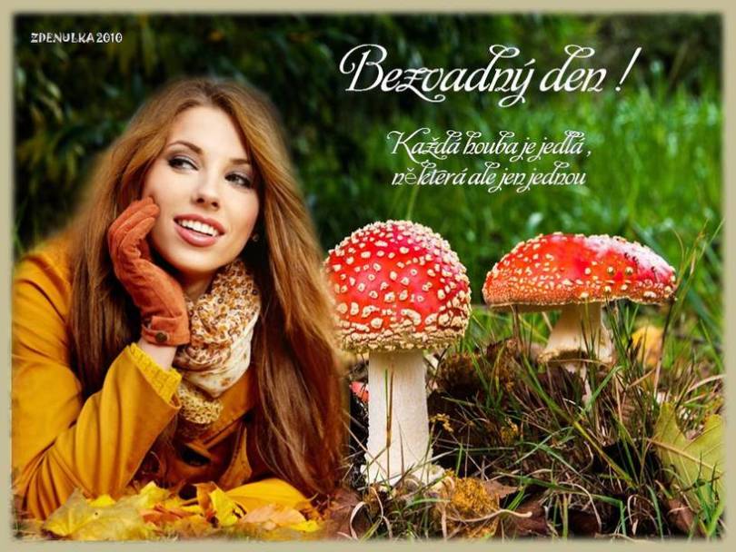 An den Beitrag angehängtes Bild: https://i.postimg.cc/SKbk8PjB/DEN-s-muchom-rkou1.jpg