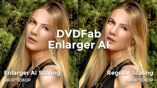 DVDFab Photo Enhancer AI v1.0.2.3 (x64) Multilingual