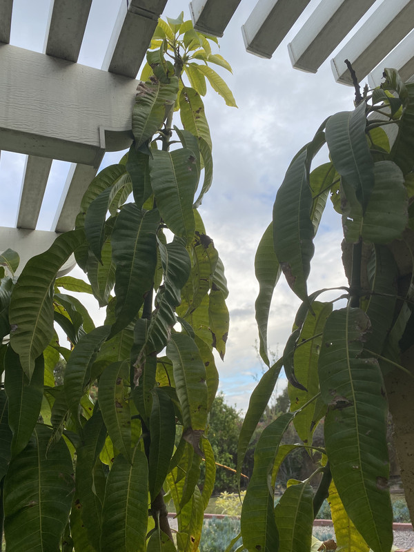 719938CC-C93F-4041-8767-058603F17460