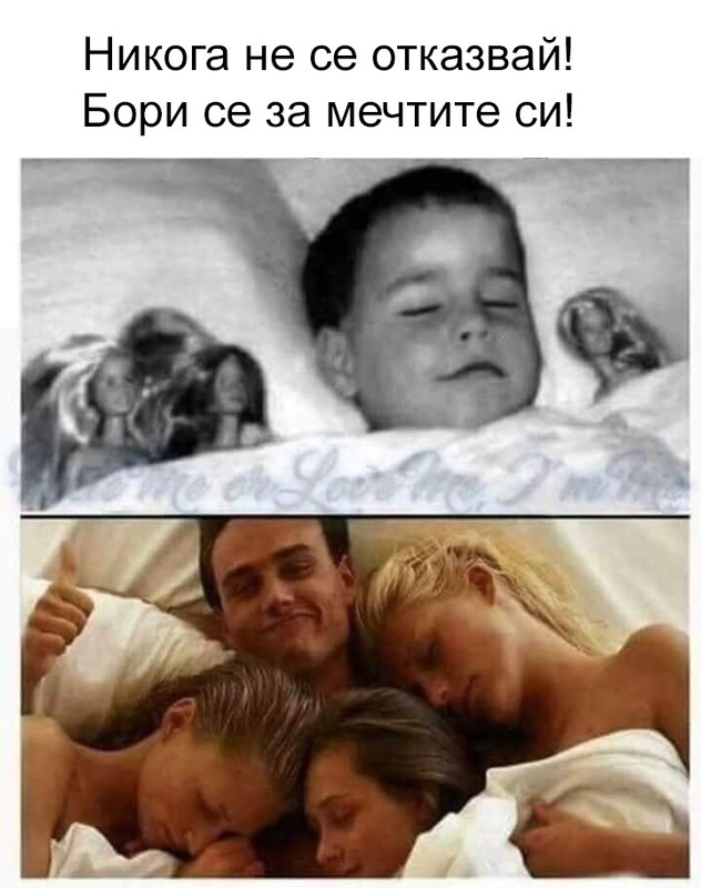 14179653
