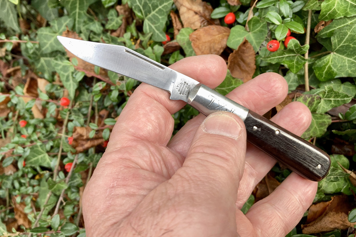 3C36A547-9DE1-459B-B0D2-B1254A4B72C6