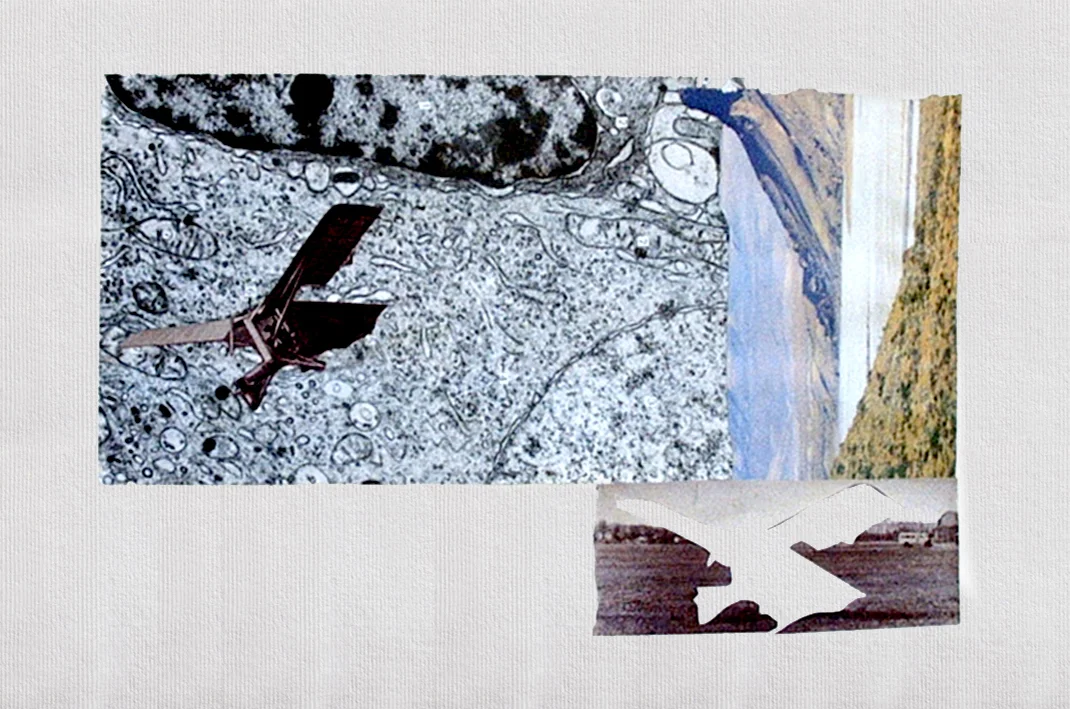 Yeny Casanueva. Procesual Art Studio Yeny Casanueva. Procesual Art Studio
