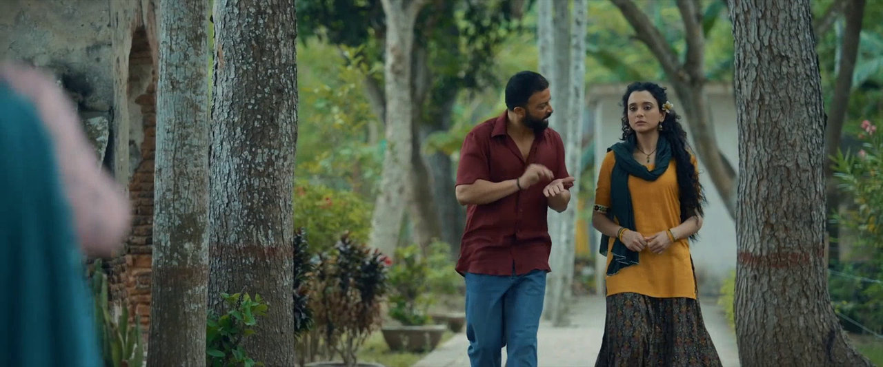 vlcsnap-2025-08-11-17h43m27s633