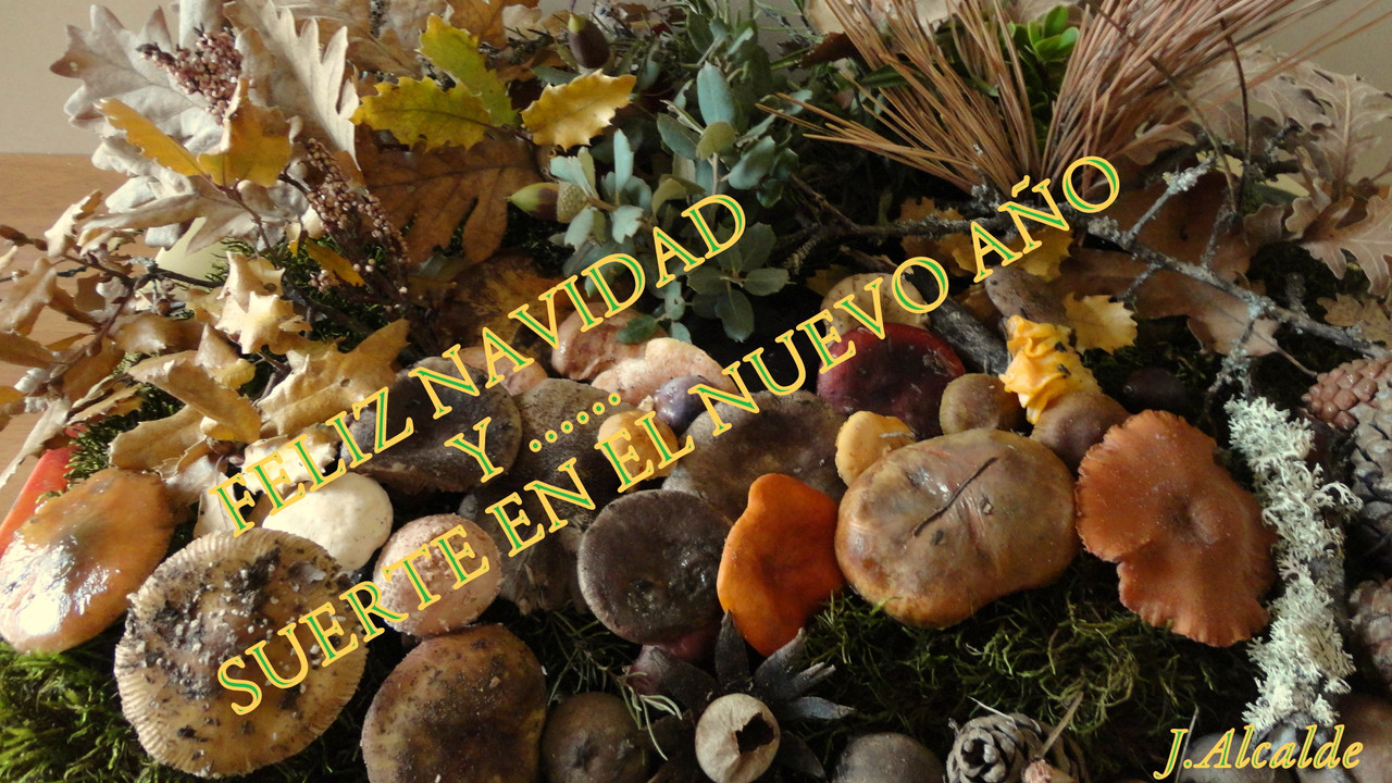 FELICITACION NAVIDEÑA .