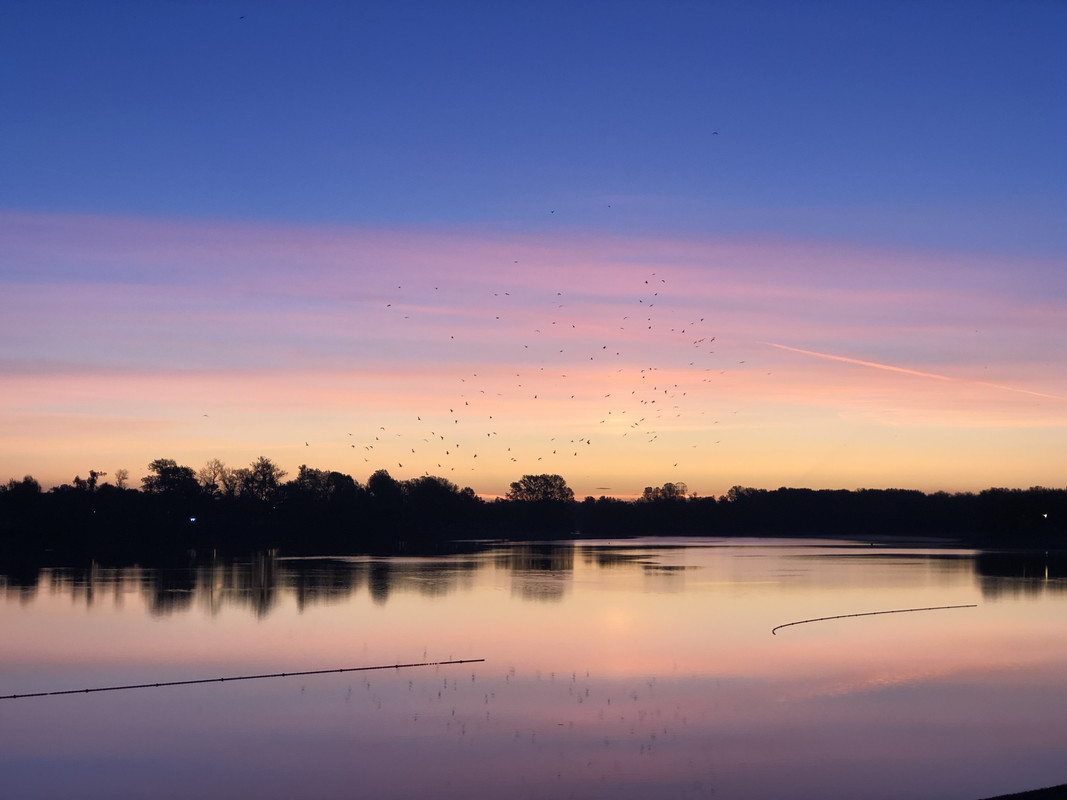 646D82B7-8F68-4054-BDED-D6B69D9E34A6