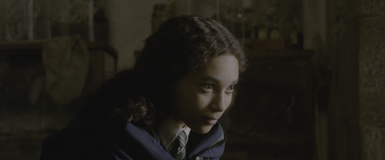 Animali fantastici I crimini di Grindelwald (2018) [Rip 2160p HE