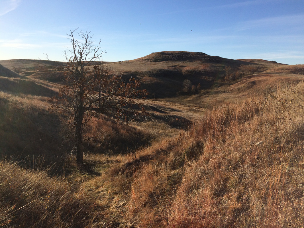 DB644F21-8C19-411F-9922-D8BC4558A1BA