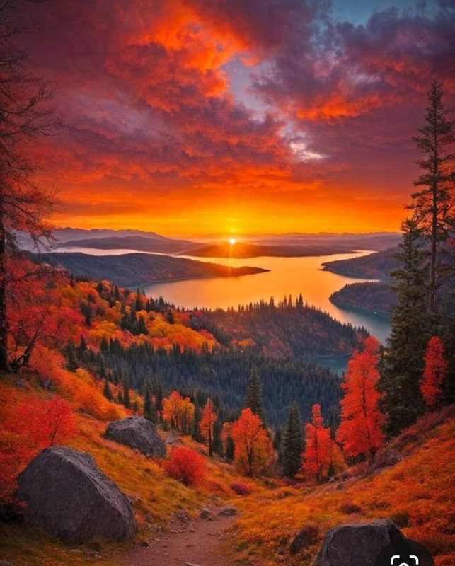 Screenshot_20240131_210353_Pinterest