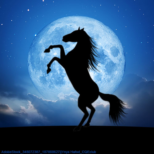 Rearing-Moon1-Horse-Avatar.jpg