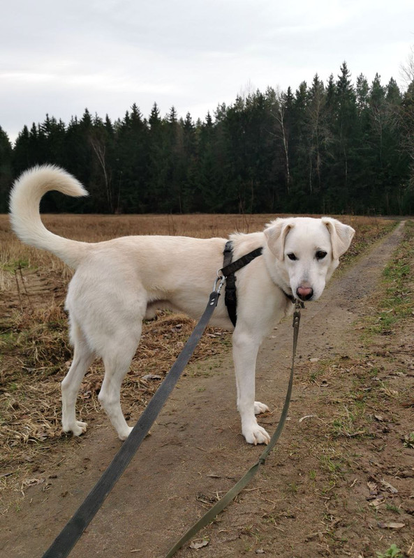 photo_2022-11-09_22-25-15