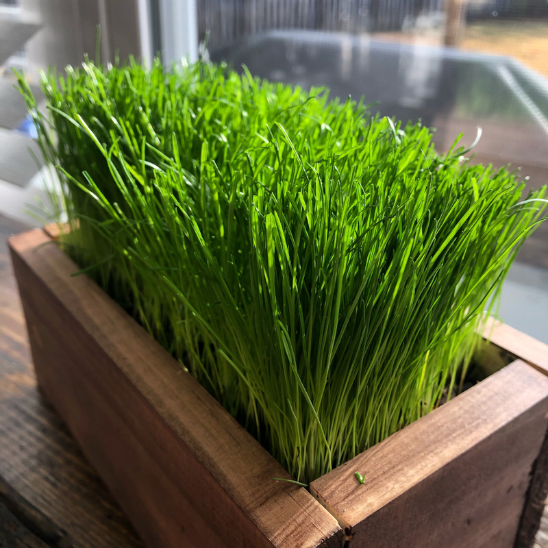 26C3930A-6A5A-4AC0-8BF9-8D101618D2A1