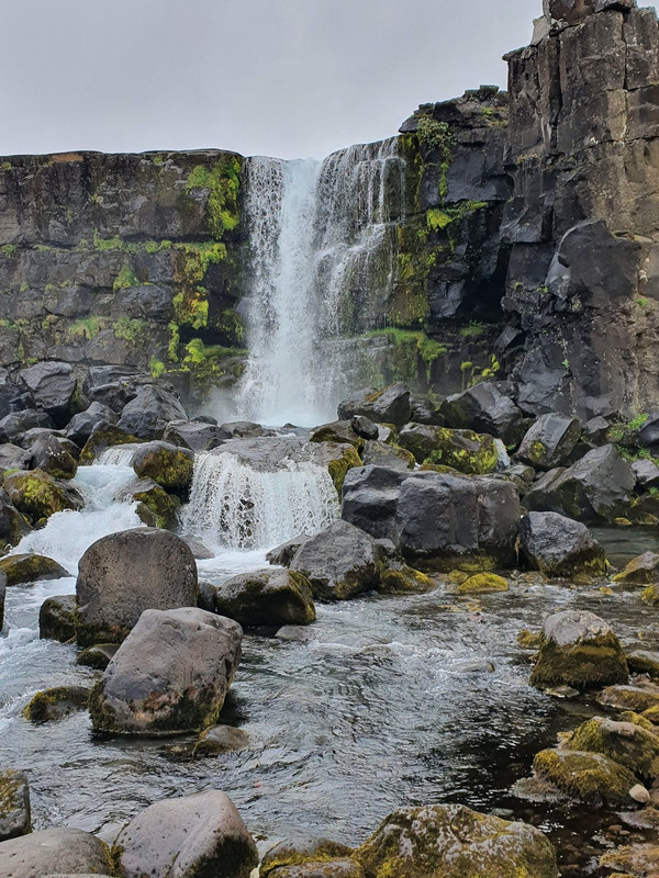 20210709-085300.jpg