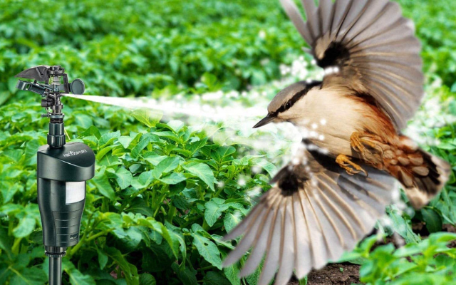 Pigeon-Free: Water Sprinklers