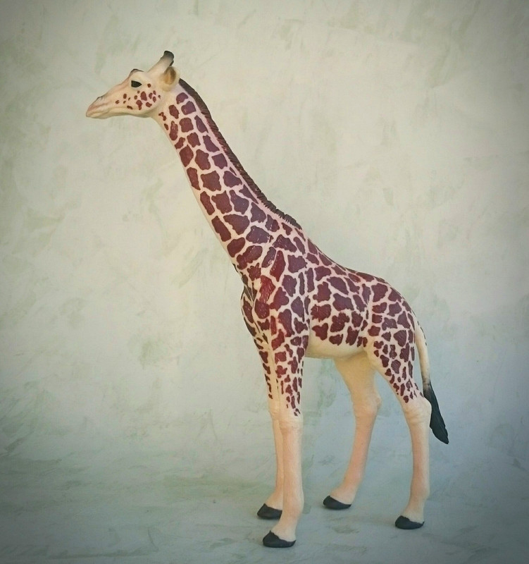 mojo - Mojo 2020 - Masai Giraffe 20200627-130423