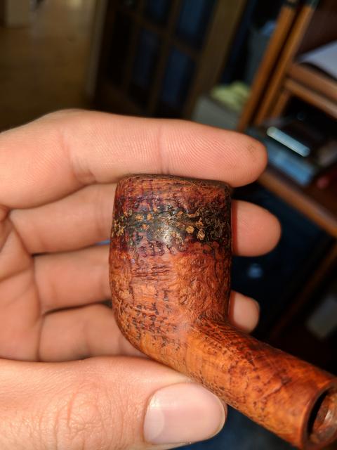 IMG-20190423-094923.jpg
