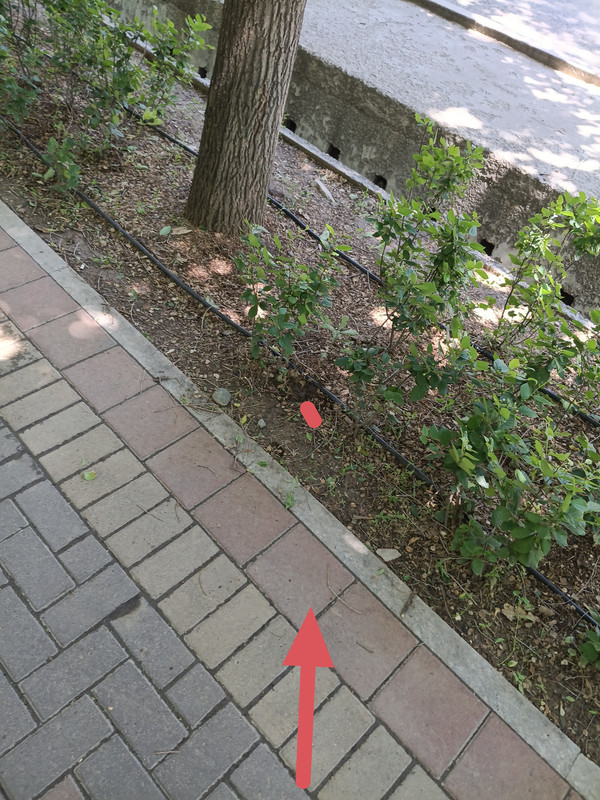 IMG 20260529 125929
