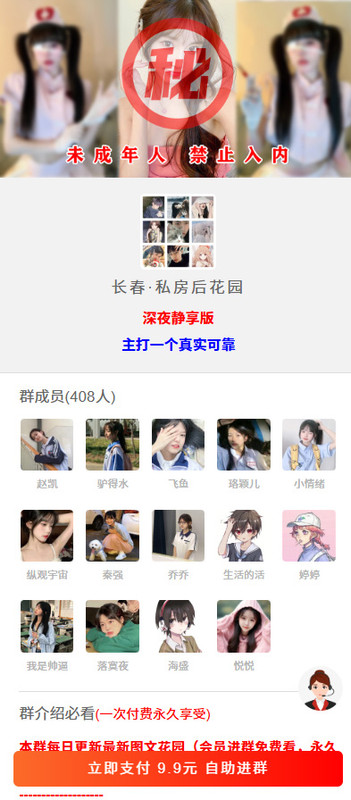 付费进群