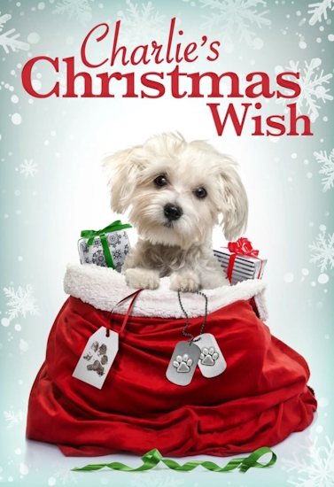 Charlies-Christmas-Wish-Ein-Weihnachtsfest-der-Hoffnung.jpg