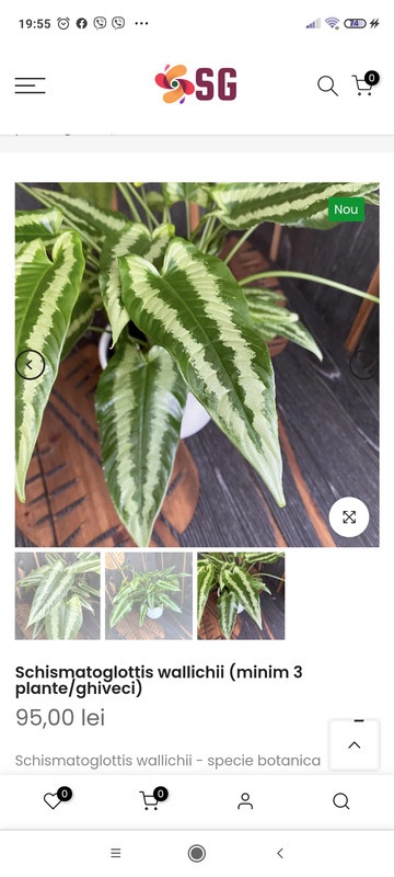 Screenshot_2023-02-01-19-55-09-773_com.android.chrome
