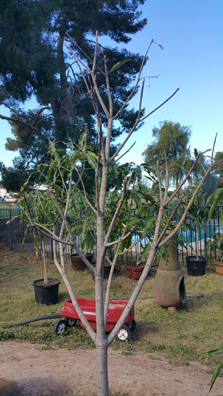 20150212_121339_resized