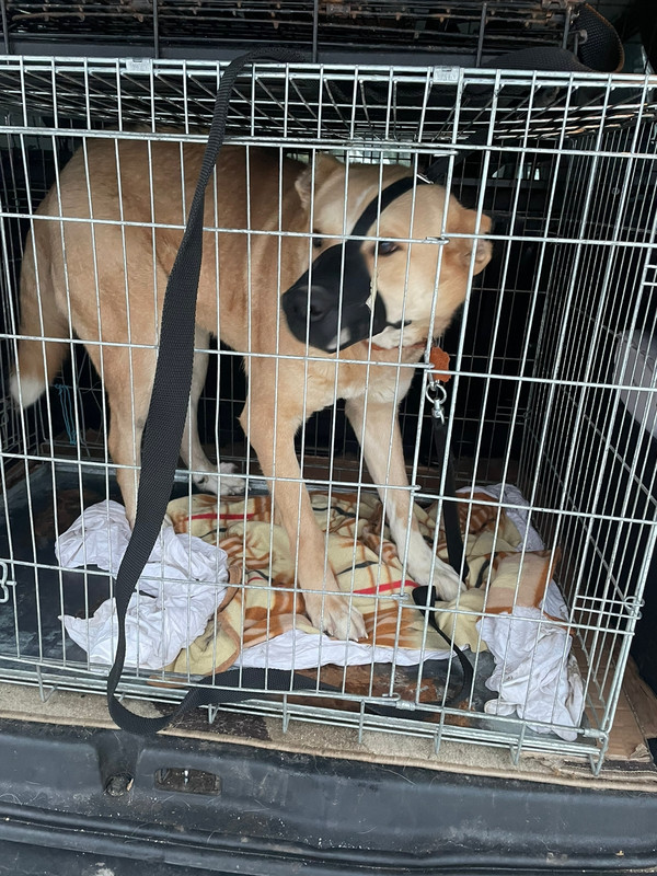 E40F36A3-DDB6-4CBE-A43B-C1E5633DD109