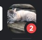 discord shows two new messages from racer