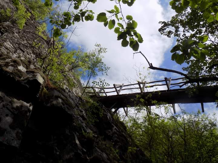 FB_IMG_1620197612503