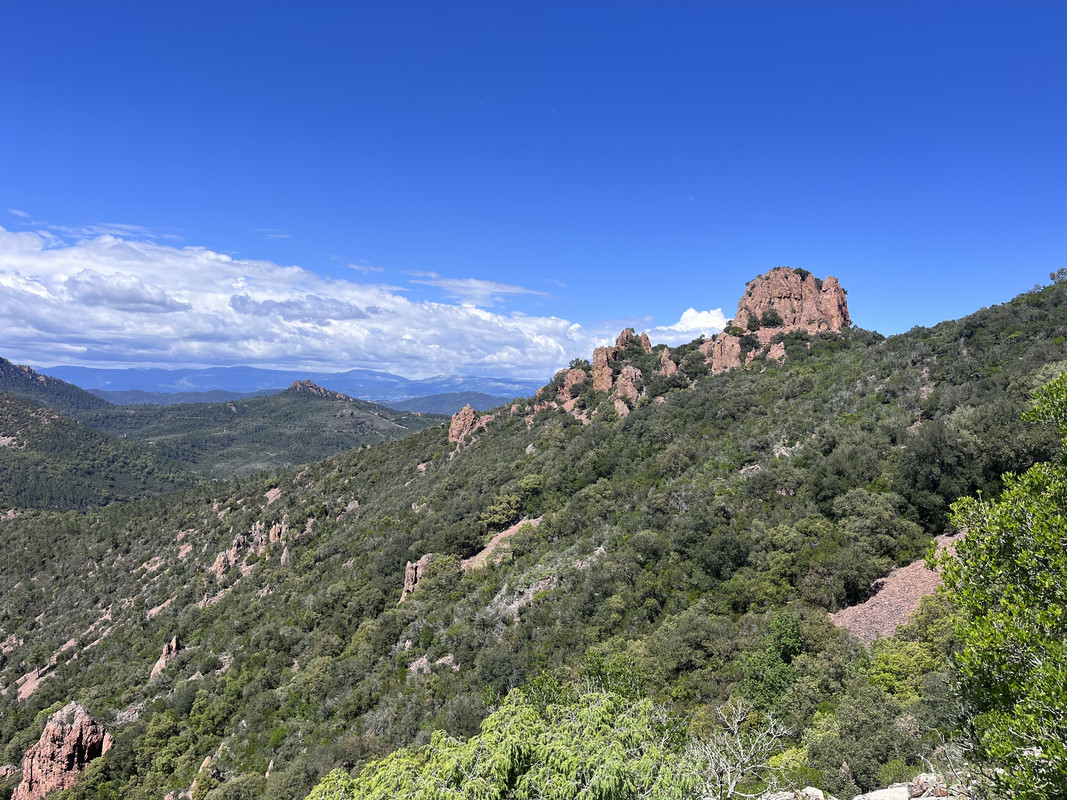 [Image: IMG-9080.jpg]