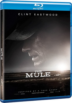 Il Corriere - The Mule (2018) FullHD 1080p HEVC AC3 ITA/ENG + Sub ITA/ENG Il Corriere - The Mule (2018) FullHD 1080p HEVC AC3 ITA/ENG + Sub ITA/ENG