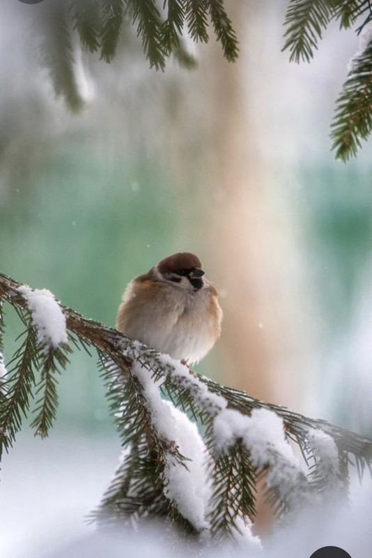 Screenshot_20230831_231348_Pinterest