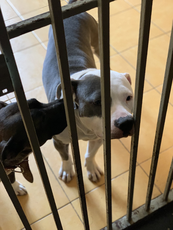 837B3FDA-2519-4BF0-8380-8C541EF7E34F